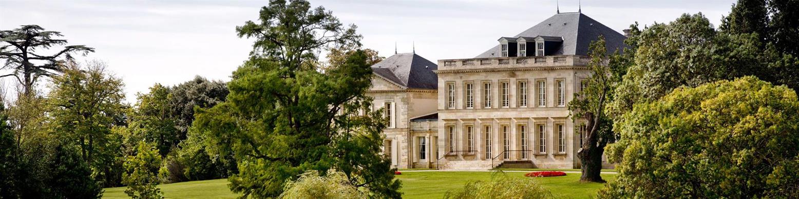 Saint-Estèphe Fine Wine