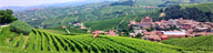 2017 - Barolo Paiagallo, Giovanni Canonica
